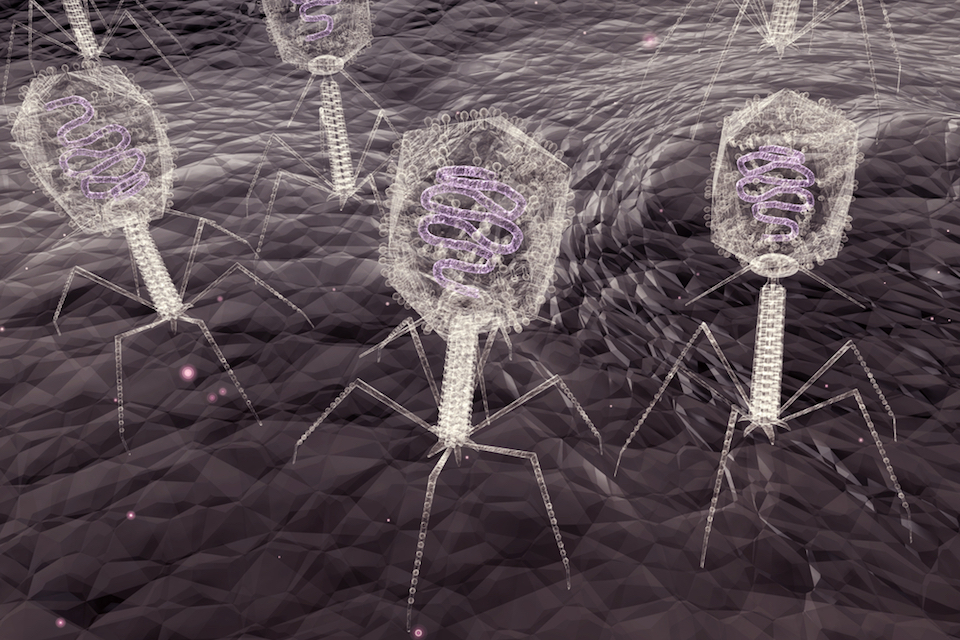 Unknown Virus Discovered in Human Body