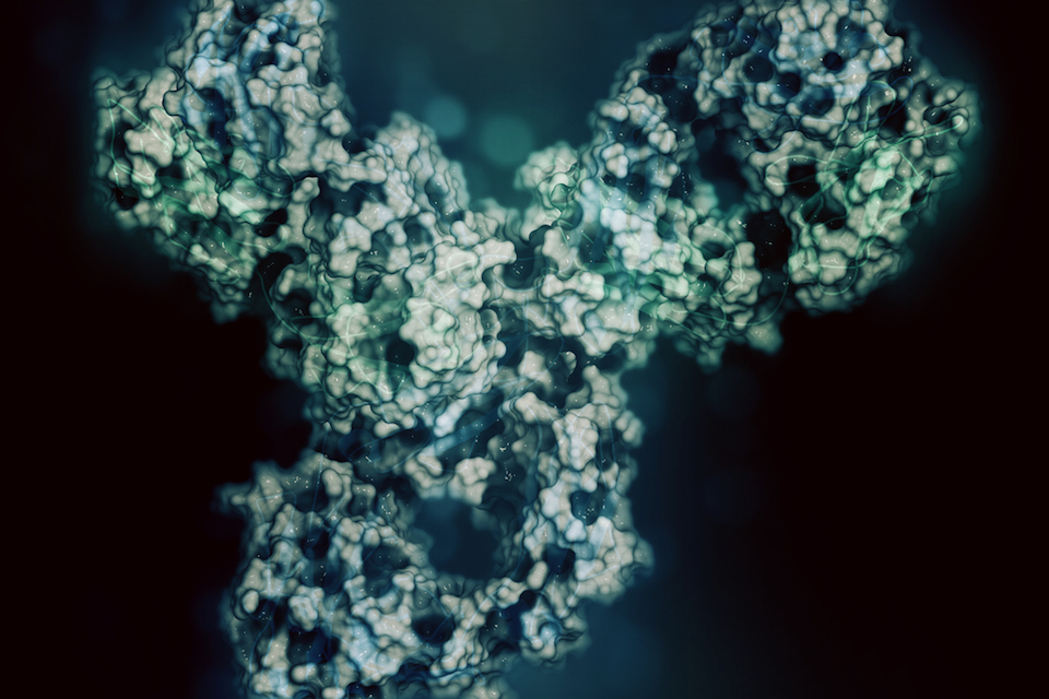 Preliminary Safety and Clinical Observations From 4D pharma’s Phase I/II Study of MRx0518 in Combination With KEYTRUDA®