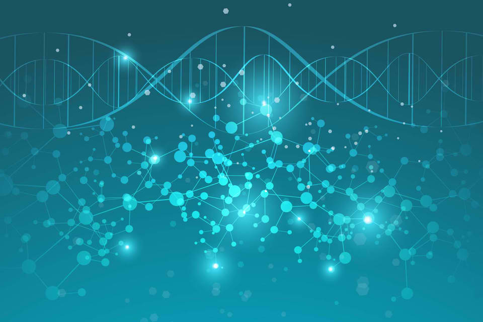 Princeton researchers listen in on the chemical conversation of the human microbiome