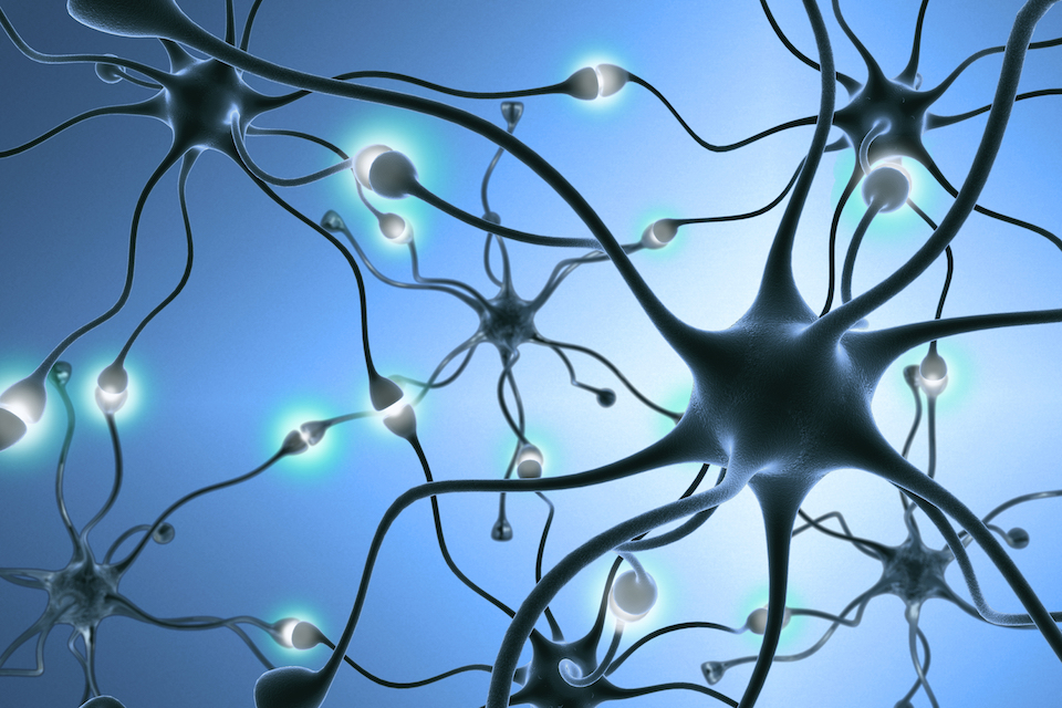 Carbiotix Signs Research Collaboration Agreement Focused on Neuroinflammation