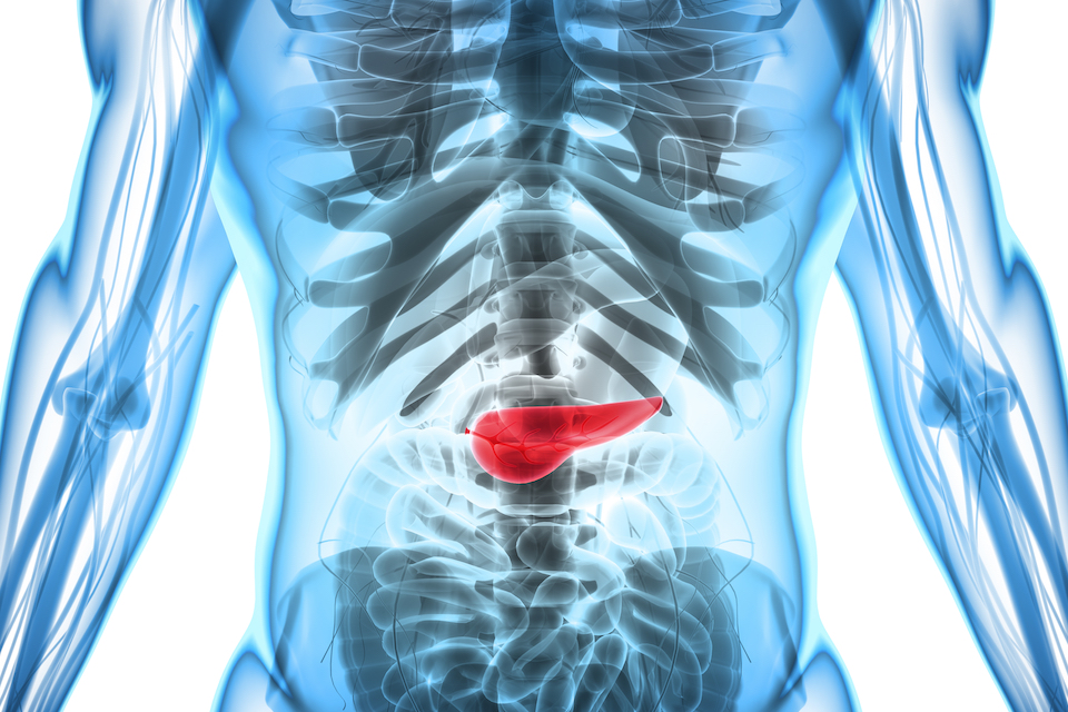 4D Pharma Announces Opening of a Study Investigating MRx0518 in Combination with Radiotherapy in Patients with Resectable Pancreatic Cancer