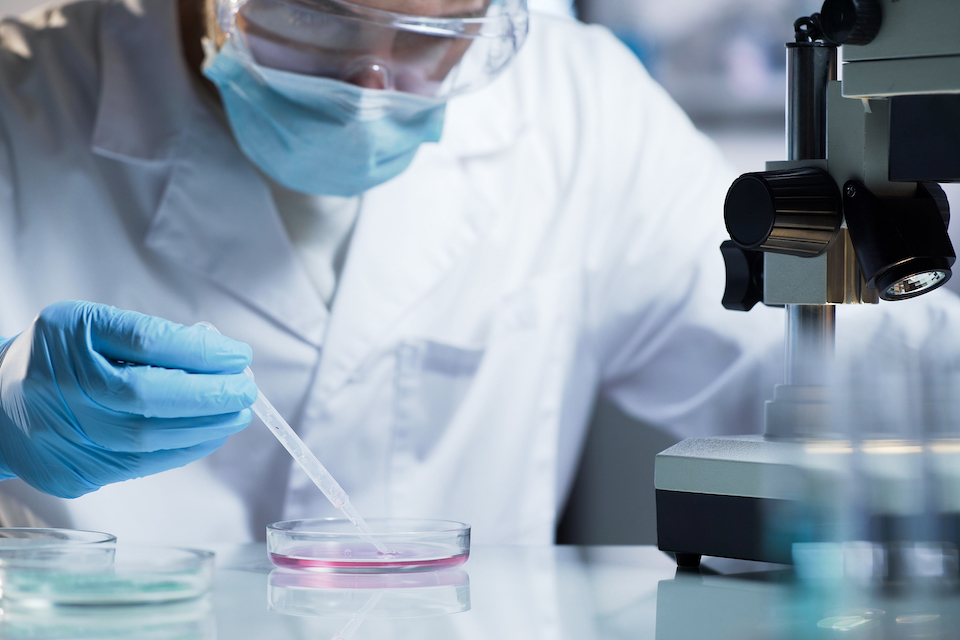 Toxicological Study on HMO-mix: A Milestone for Jennewein Biotechnologie for the GRAS Approval