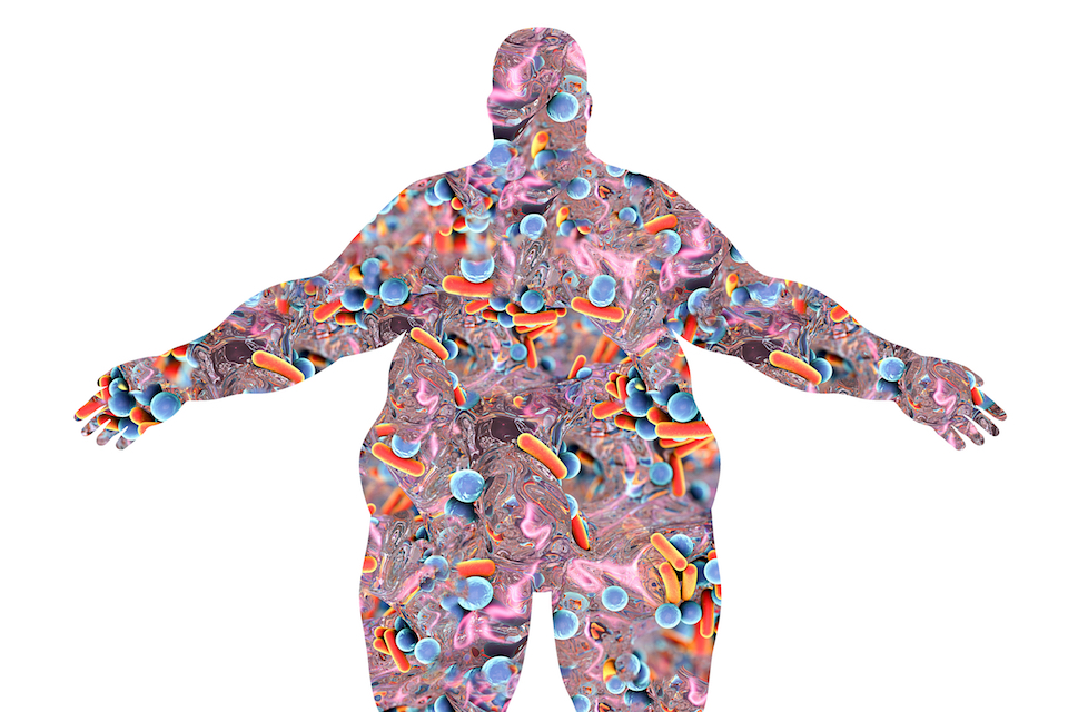 Kintai Therapeutics Advances Anti-Obesity Agent IND-Enabling Studies Following Positive Preclinical Data