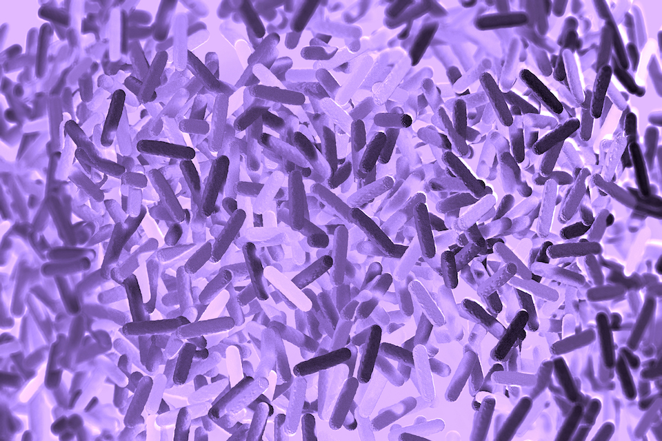 VIRGO, The First Comprehensive Gene Catalog To Decode the Vaginal Microbiome