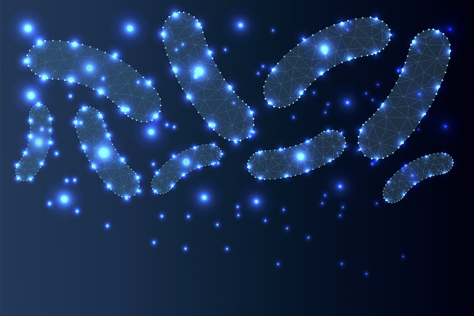 Ilya Pharma receives BIO-X® grant to complete preclinical work for novel IBD chemokine-based gene therapy candidates