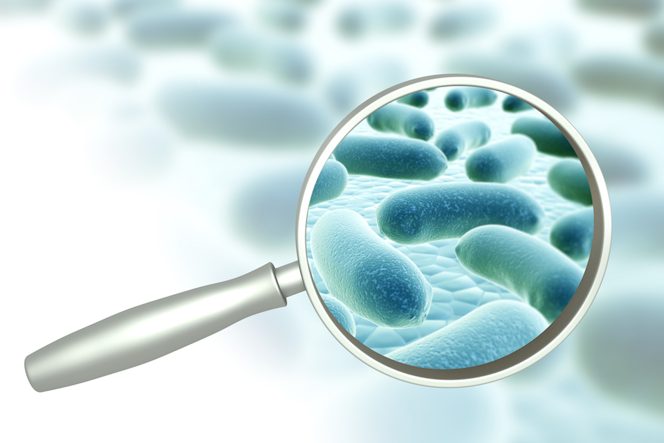 Microbiome search engine can increase efficiency in disease detection and diagnosis
