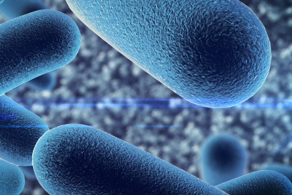 Major Infant Health Collaboration Announced by APC Microbiome Ireland with DuPont Nutrition & Biosciences