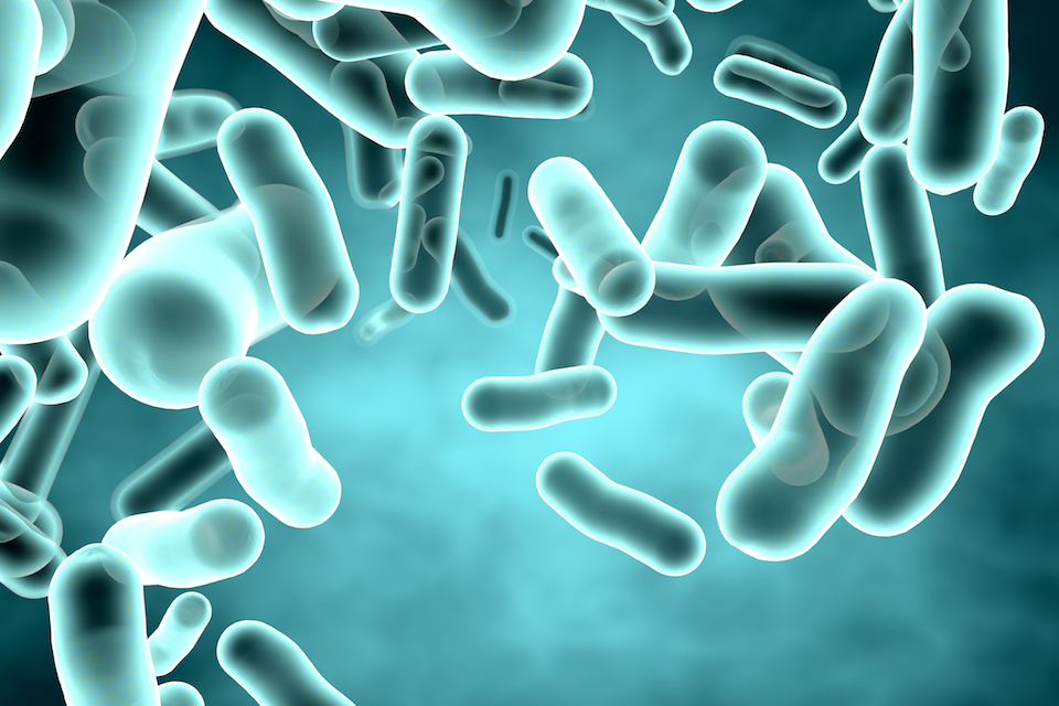 Novozymes acquires PrecisionBiotics Group to advance its business within human health