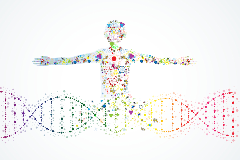 Pioneering research reveals certain human genes relate to gut bacteria