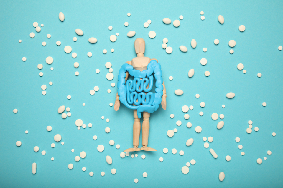 IPA response to 2020 AGA Clinical Practice Guidelines on the Role of Probiotics in the Management of Gastrointestinal Disorders