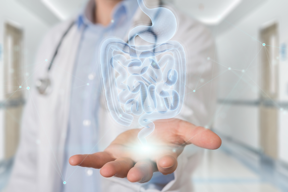 Group of international scientists align on a definition for ‘synbiotic’