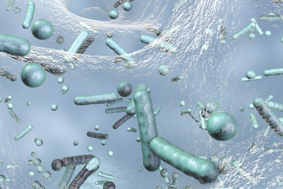 Scioto Biosciences Receives Series B Investment from Genome & Company