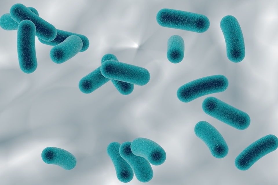 LNC Therapeutics Receives FDA Investigational New Drug Approval to Initiate a Phase 1 Clinical Trial for the Treatment of Obesity and Metabolic Diseases