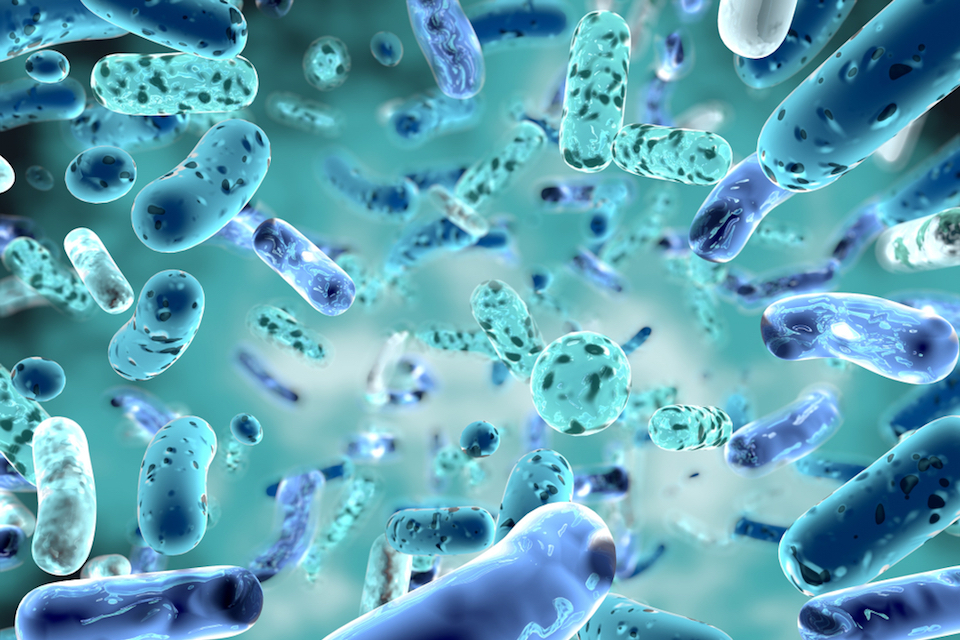 DuPont Human Microbiome Venture and Procter & Gamble Enter Research Collaboration in Next Generation Probiotics