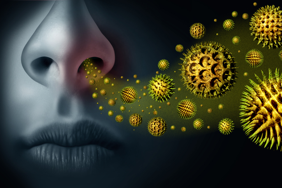 4D pharma Completes Enrollment of Part A of the Phase I/II Trial of MRx-4DP0004 for the Treatment of Asthma and Provides Program Update