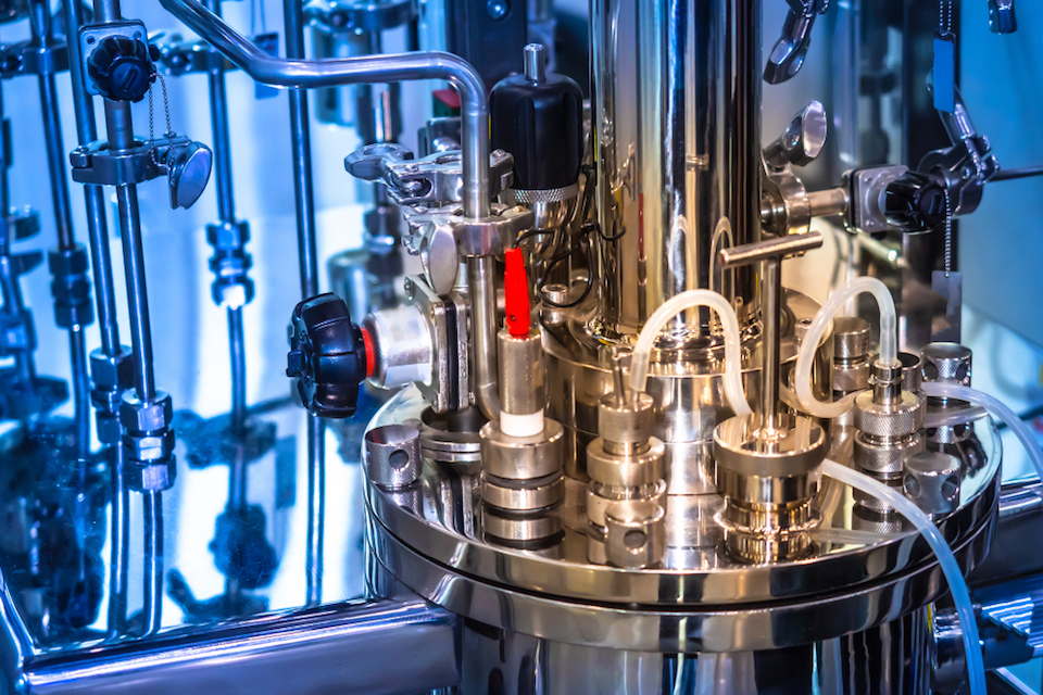 Biomica Announces Initiation of Large-Scale Production of Live Bacterial Product (LBP) Candidate Consortium in its Immuno-Oncology Program