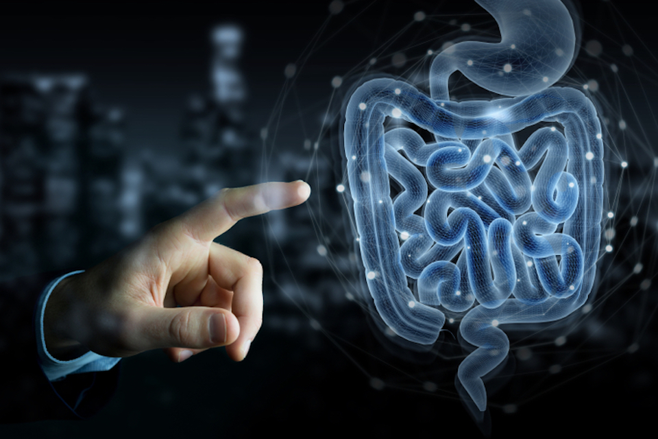 MyBiotics Awarded 2 Million Euro Grant from the European Union