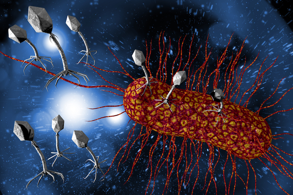 Locus Biosciences signs contract with BARDA to advance $144 million precision medicine program to develop LBP-EC01, a crPhage™ product