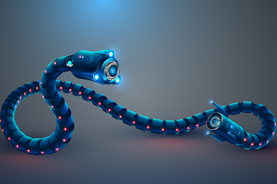 Worm-like, soil-swimming robots to explore crop underworld