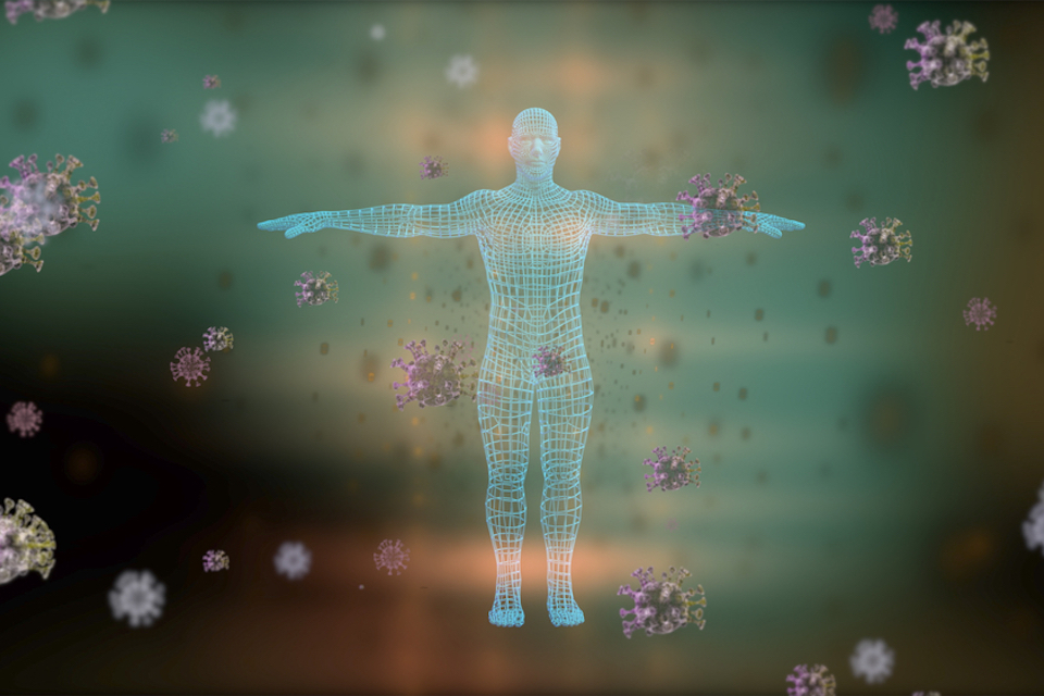 MSK study is the first to link microbiota to dynamics of the human immune system