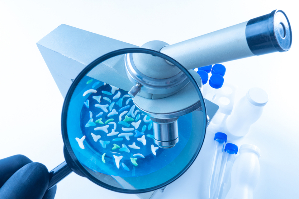 Landmark human study is first to reveal strong links between specific gut microbes, diet and health, including weight