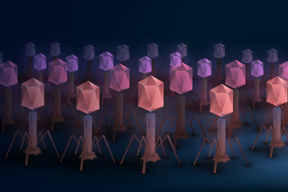 Felix Biotechnology announces initiation of a Phase 1/2 study at Yale for targeted phage therapy in the treatment of P. aeruginosa infections