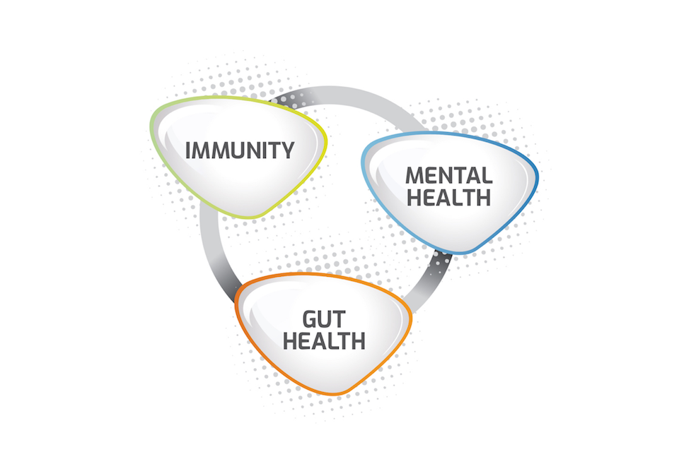 Probiotics to Provide Holistic Health Benefits