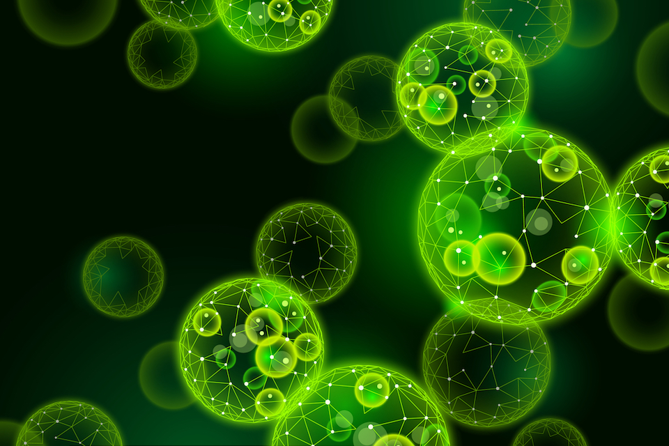 Are ‘bacterial probiotics’ a game-changer for the biofuels industry?
