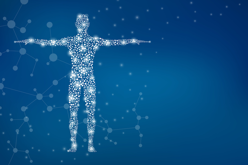 Predicting microbial interactions in the human gut