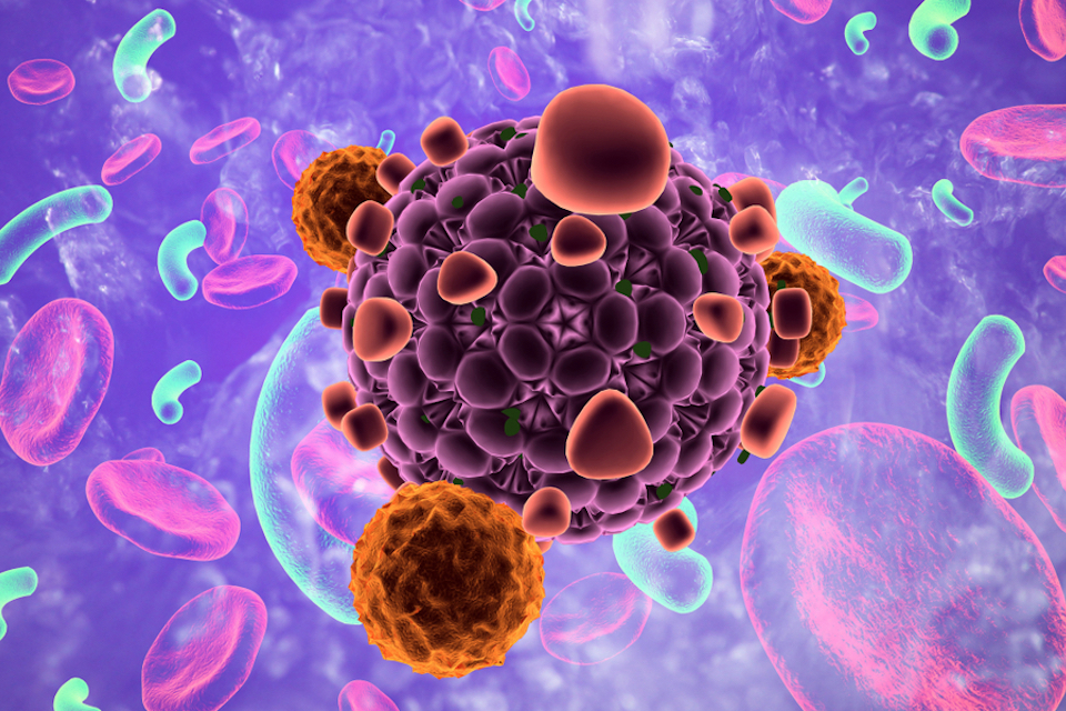 Hadassah and MyBiotics to Collaborate for the Discovery of Microbiome-Based Therapy for Improving Cancer Immunotherapy