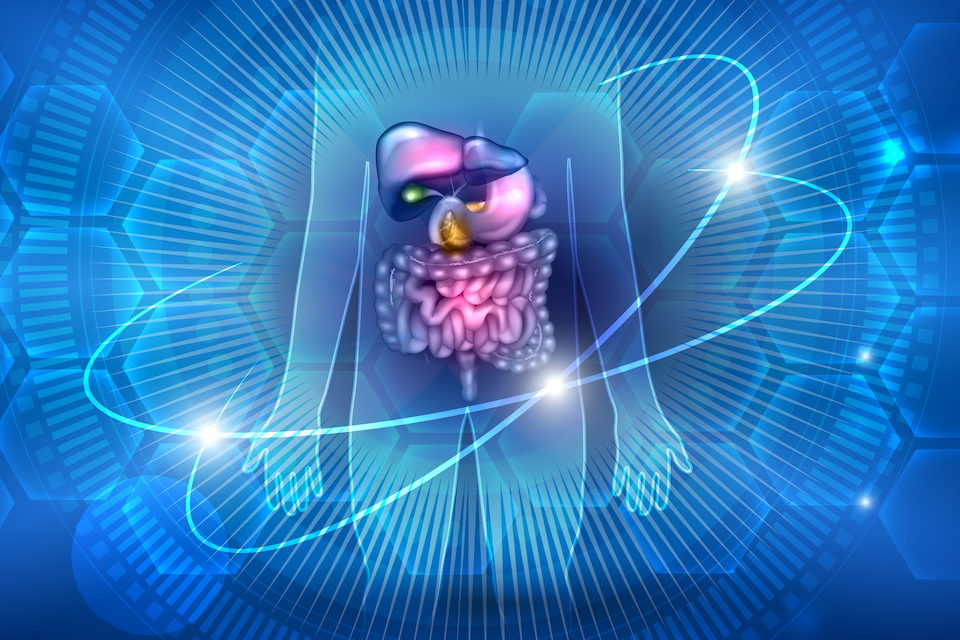 NovoBiome launched to revolutionize treatment of liver diseases by targeting the microbiome-gut-liver axis