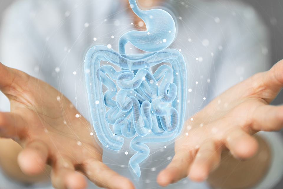 Healthy Microbiome Designed by Gusto Global Shows Promise to Radically Change Treatment for Inflammatory Diseases