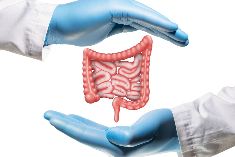 Synlogic Enters Research Collaboration with Roche for Development of Novel Therapy to Treat Inflammatory Bowel Disease