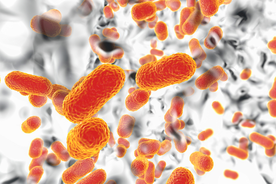 Seres Therapeutics Announces FDA Clearance of IND for Investigational Microbiome Therapeutic for the Prevention of Antibiotic-Resistant Bacterial Infections and GvHD