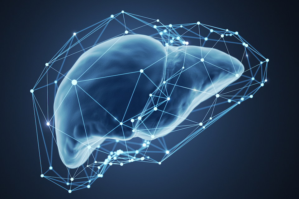 CN Bio’s PhysioMimix™ Adopted by King’s College London to Investigate Chronic Liver Disease