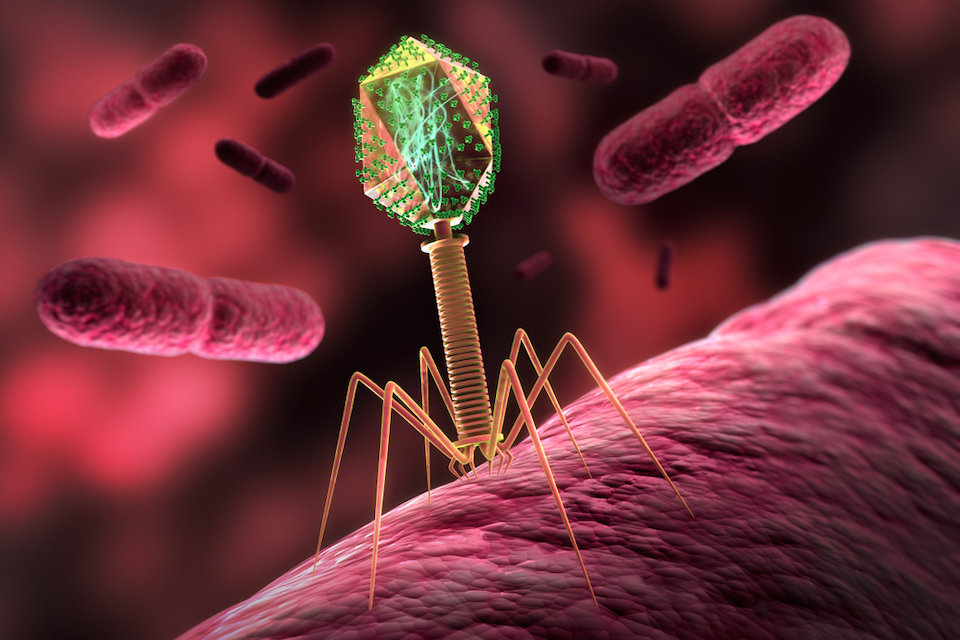 BiomX Inc. Announces $15 Million Registered Direct Offering