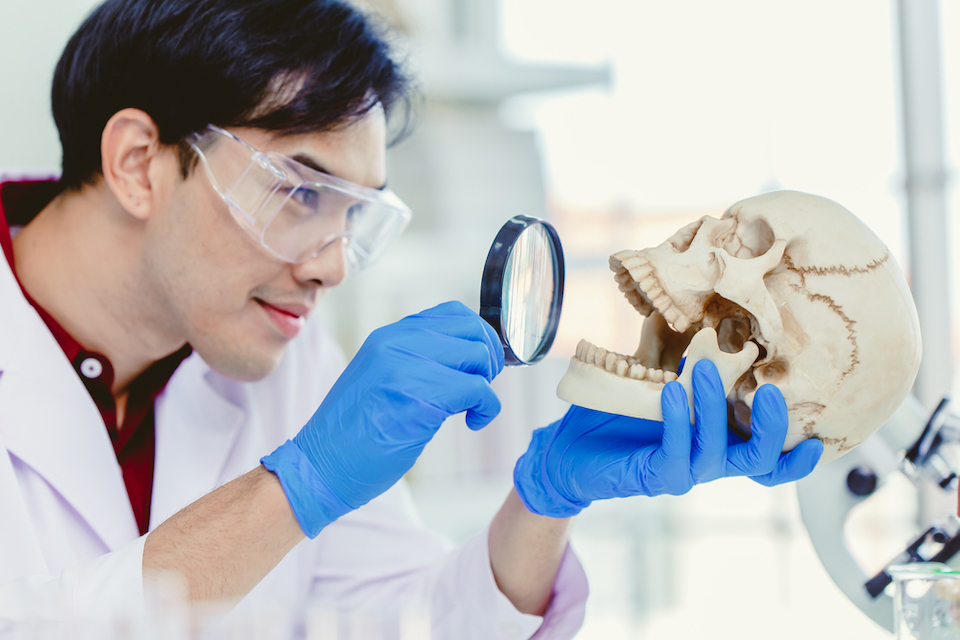 The surprising evolutionary history of our oral bacteria