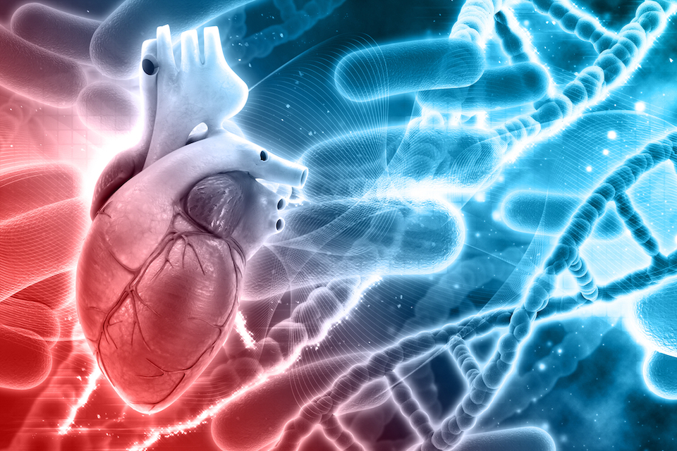 New research identifies link between gut microbes and stroke