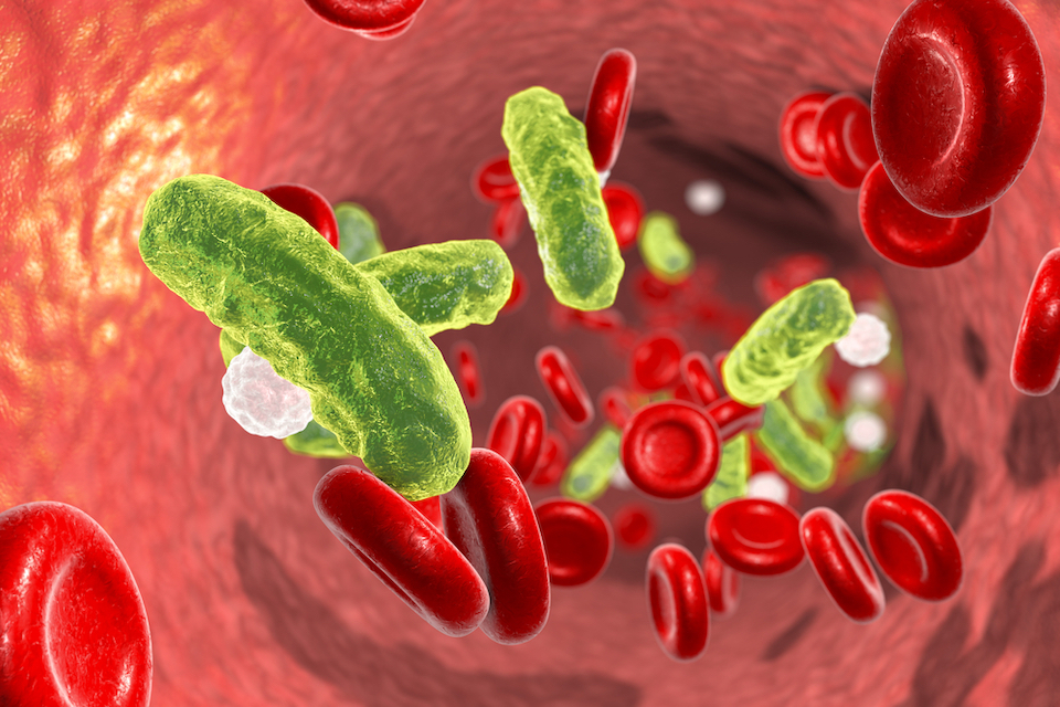 MaaT Pharma Announces DSMB Approval to Proceed to Cohort 4 out of 5 in Phase 1b CIMON Trial Testing Capsule Formulation of Microbiome Ecosystem Therapy
