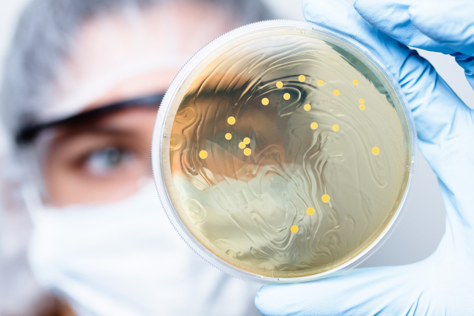 DNA Genotek & Diversigen announce two $50K grants for multi-omics research