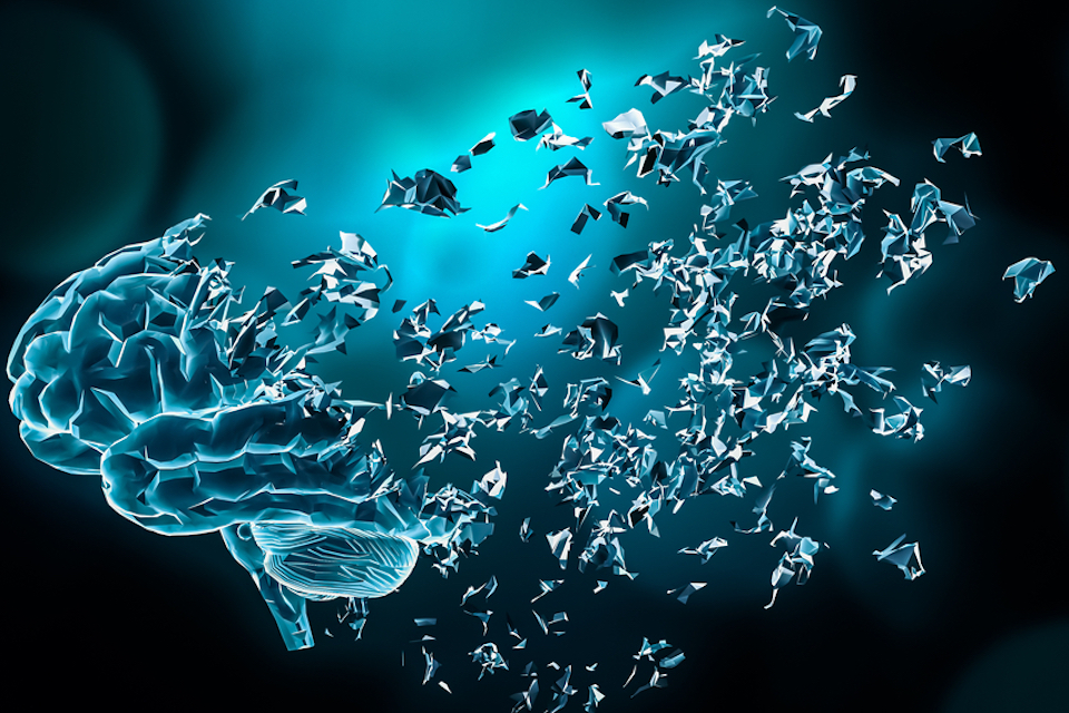 Microbes turn back the clock as research discovers their potential to reverse aging in the brain