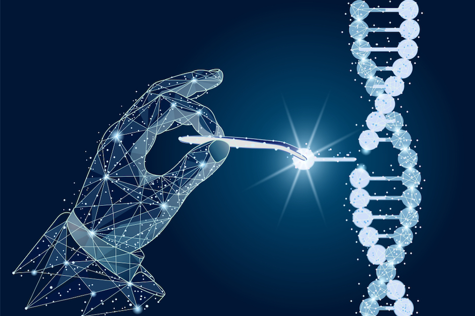 MD Anderson and SNIPR BIOME collaborate to advance next-generation CRISPR microbiome therapeutics