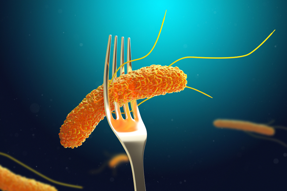 Intralytix Receives FDA Regulatory Clearance for Phage-Based Campylobacter Technology