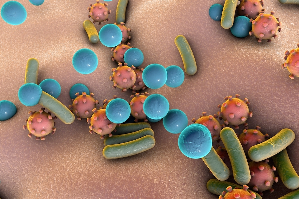 Evelo Biosciences Announces Positive Phase 2 Clinical Data with EDP1815 in Psoriasis