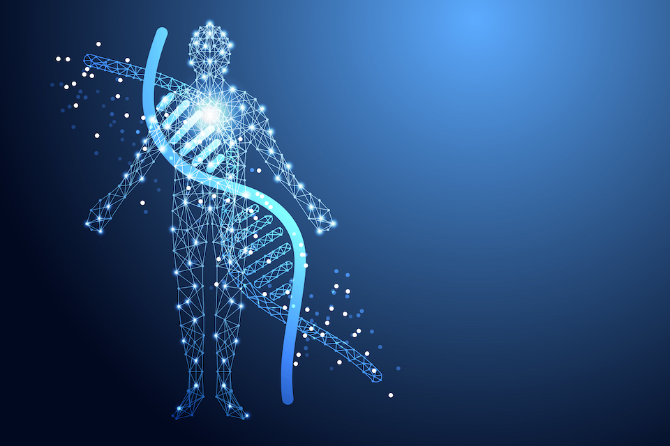 Novome Biotechnologies Reports Positive Results from a Phase 1 Study of NOV-001
