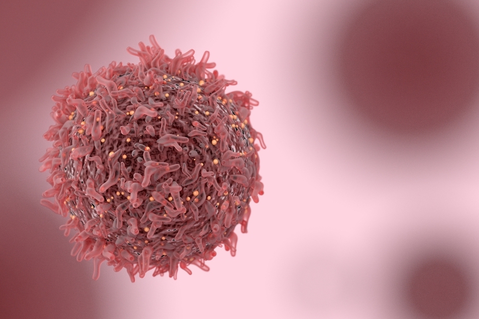 Everimmune raises €5m to enter clinical phase in microbiome immuno-oncology