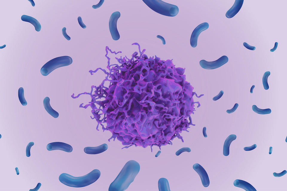 EverImmune engages Biose Industrie to manufacture its leading oncology-related Live Biotherapeutic