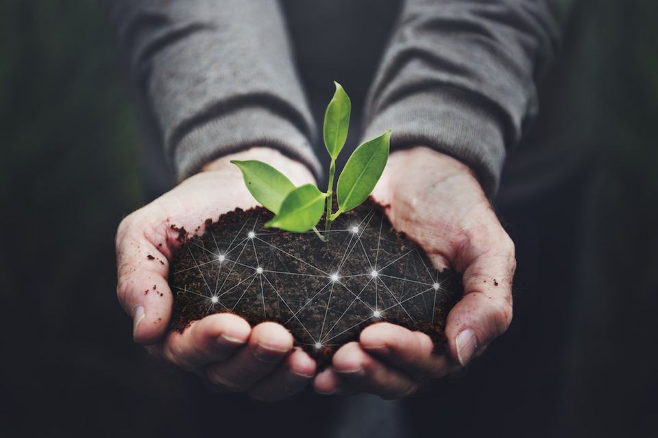 Food for Health: A new direction for American Agriculture