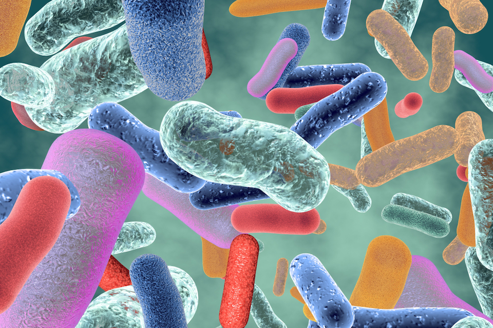 Protecting the human intestinal microbiome with synthetic biology