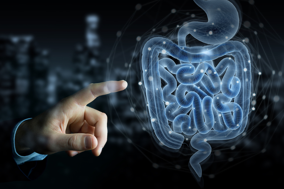 Xbiome Acquires Clinical-Stage Program from Assembly Biosciences Targeting  Ulcerative Colitis - Microbiome Times Magazine